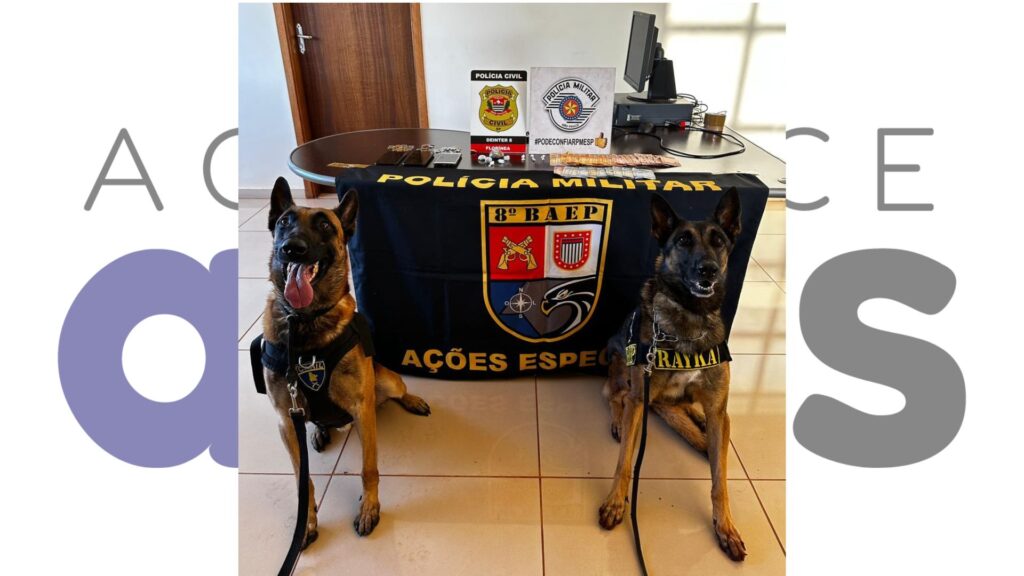 Operação conjunta do BAEP e Polícia Civil em Florínea apreende drogas com ajuda da cadela Rayka. Homem é preso por tráfico. Veja detalhes.