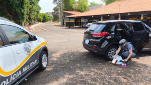 Polícia Rodoviária apreende medicamentos e produtos contrabandeados na Raposo Tavares, em Palmital