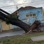 Forte tempestade alaga Câmara Municipal, arrasta carros e causa destruição em Assis
