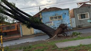 Forte tempestade alaga Câmara Municipal, arrasta carros e causa destruição em Assis