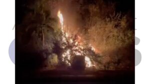 Perda total: Ford EcoSport é consumido pelas chamas após acidente na Rodovia Benedito Pires; motorista desviou de animal