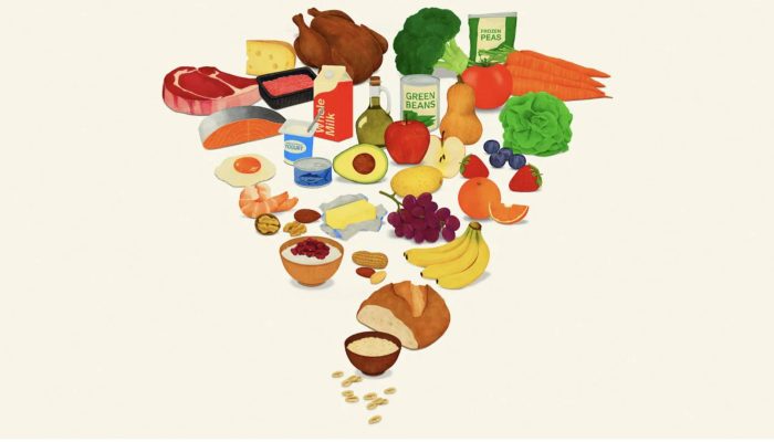 #08-01-nova-piramide-alimentar-eua-proteinas-agronegocio-brasil