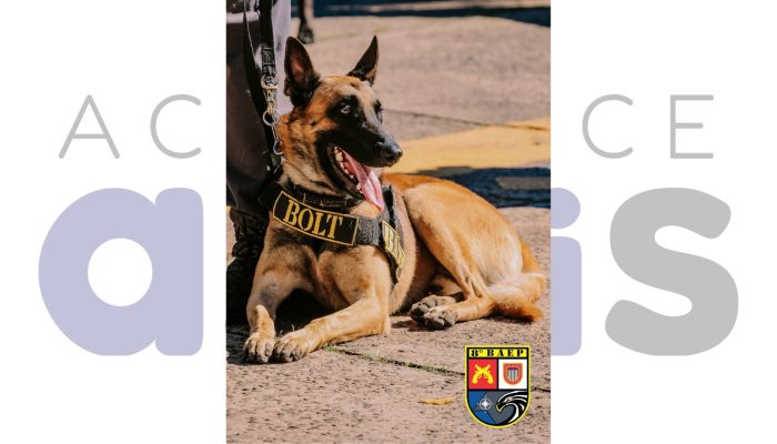 #08-10-baep-canil-assis-prisao-foragido