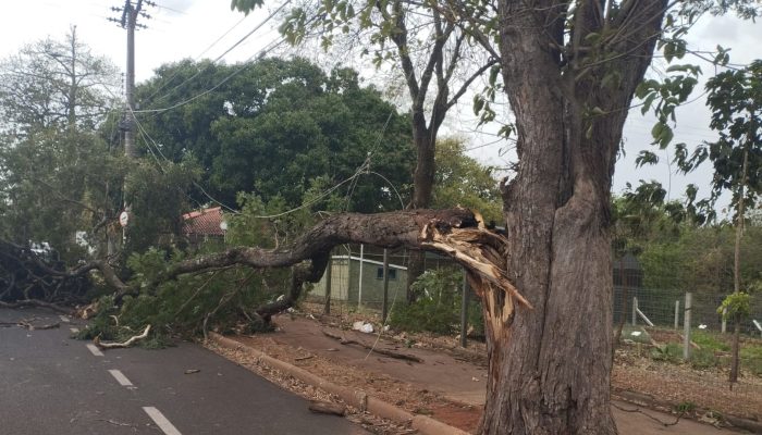 #22-09-tempestade-poeira-assis-2025