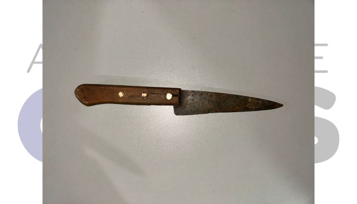 #24-11-viatura-pm-assis-violencia-domestica