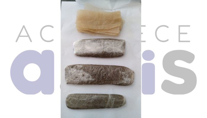 25-08-mulher-presa-com-drogas-penitenciaria-de-assis-2025