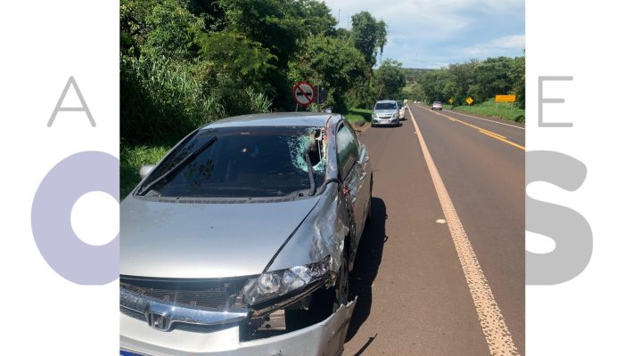 #29-12-acidente-sp421-paraguacu-paulista