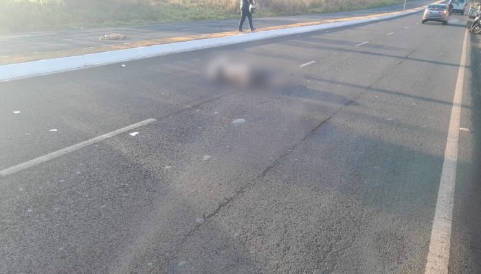 #2post-site-13-09-homem-morre-atropelado-ao-salvar-cachorro-assis