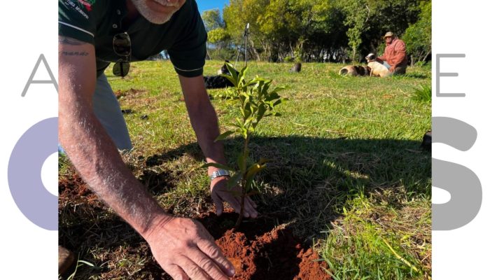 31-07-parque-das-aguas-reflorestamento-nascente