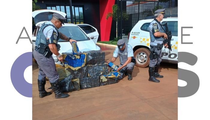 Traficante é preso com mais de 208 kg de maconha em Palmital. Motorista tentou fugir da PM, mas foi interceptado. Droga e carro foram apreendidos.