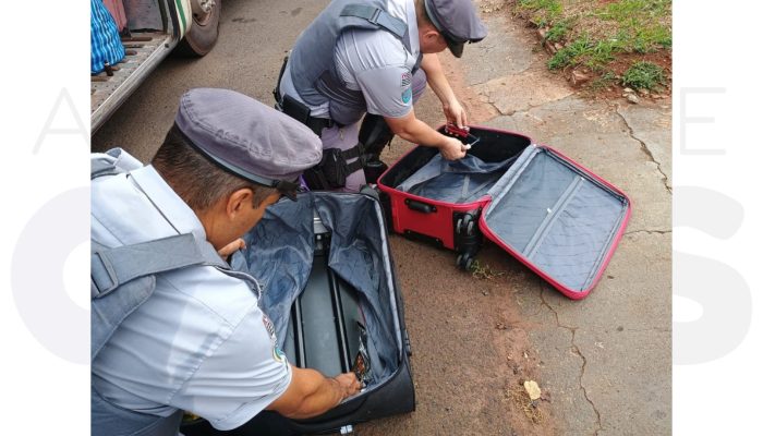 apreensao-drogas-onibus-corumba-sao-paulo-operacao-impacto.
