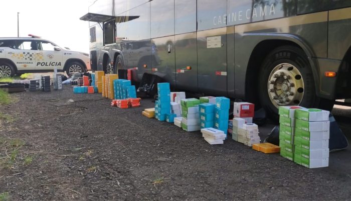 apreensao-mercadorias-ilegais-santa-cruz-do-rio-pardo-rodovia-marco-2025 (1)