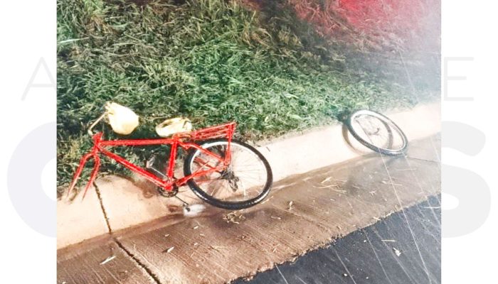 atropelamento-martinopolis-16-04-25-rodovia-2