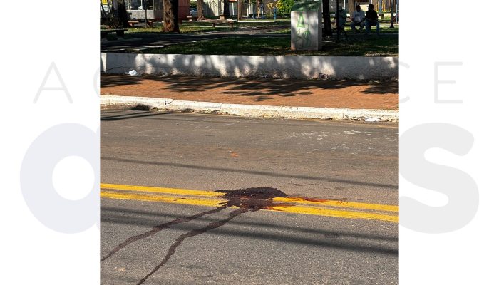 capa-atropelamento-faixa-pedestres-david-passarinho-assis-2025