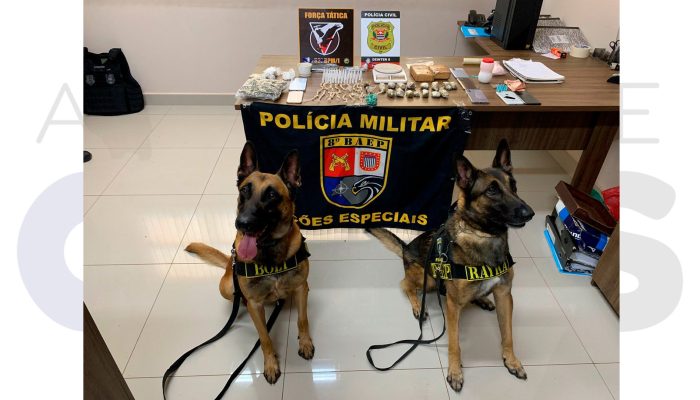 capa-operacao-policial-palmital-apreensao-drogas-baep-forca-tatica-abril-2025